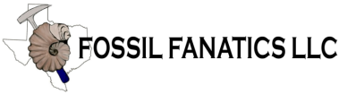 Fossil Fanatics LLC